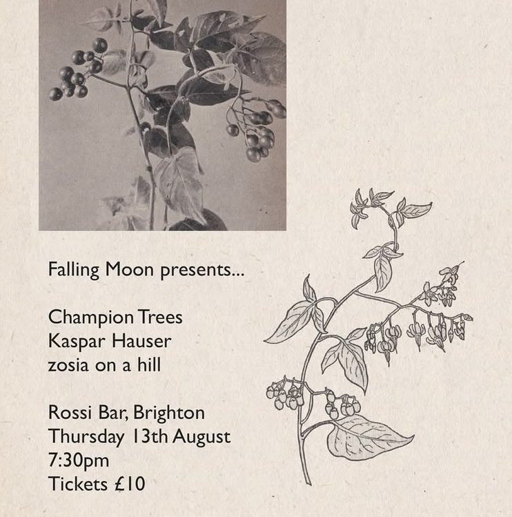 Champion Trees